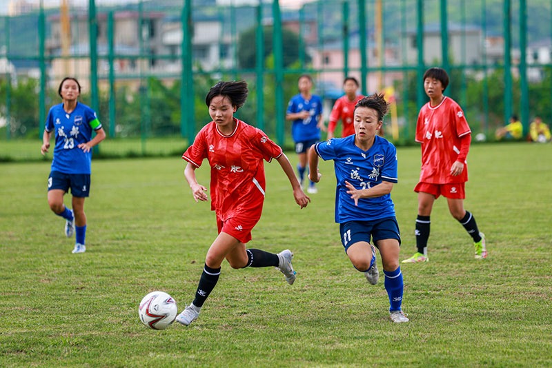 新西兰足球崛起2026世界杯48强探秘